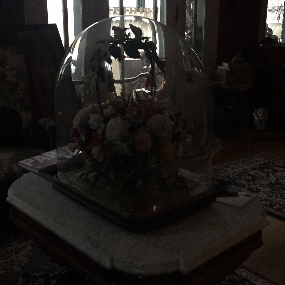 Meet your Posher, Terra